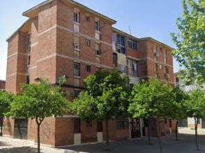Imagen Campo de la Verdad, Sector Sur, Guadalquivir (Distrito Sur)